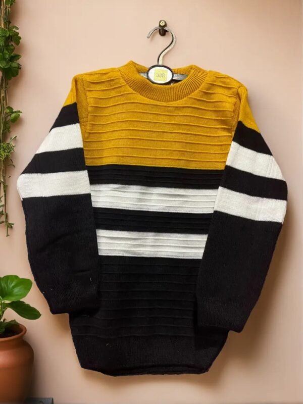 TW Kids Round Neck Full Sleeve Striped Woolen Winter Sweater - Image 6