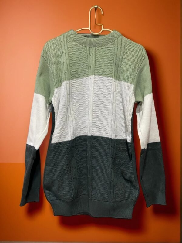 TW Men's Fashionable Winterwear Full Sleeve Pullover Sweater - Image 8