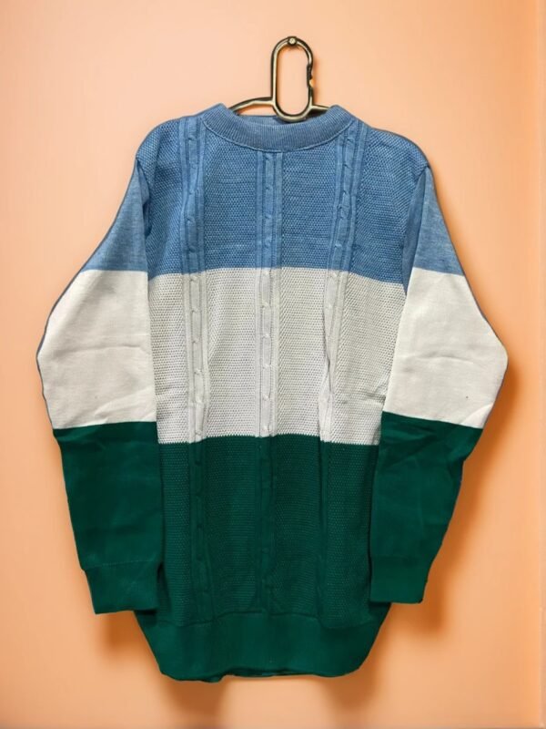 TW Men's Fashionable Winterwear Full Sleeve Pullover Sweater - Image 6