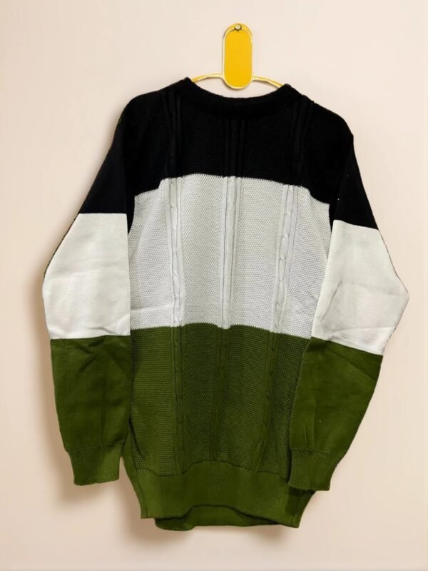 TW Men's Fashionable Winterwear Full Sleeve Pullover Sweater - Image 5