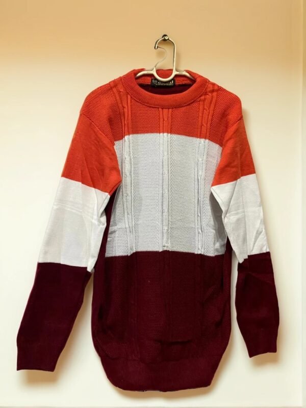 TW Men's Fashionable Winterwear Full Sleeve Pullover Sweater - Image 4