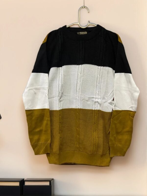TW Men's Fashionable Winterwear Full Sleeve Pullover Sweater - Image 3
