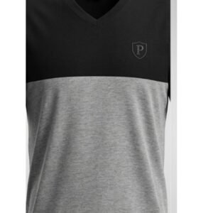TW- Premium mens solid t-shirt | Regular Fit